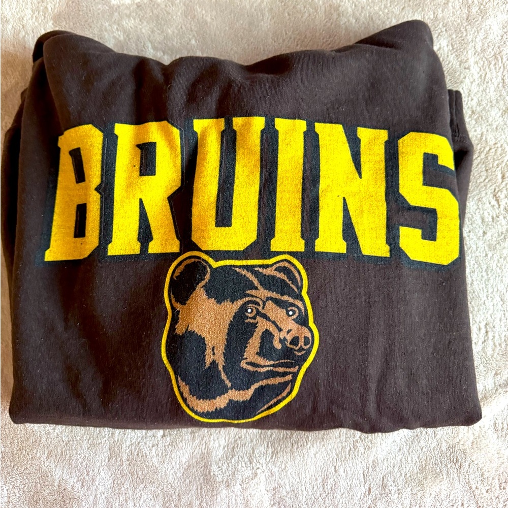 Boston Bruins hoodie, brown size M, Good condition
